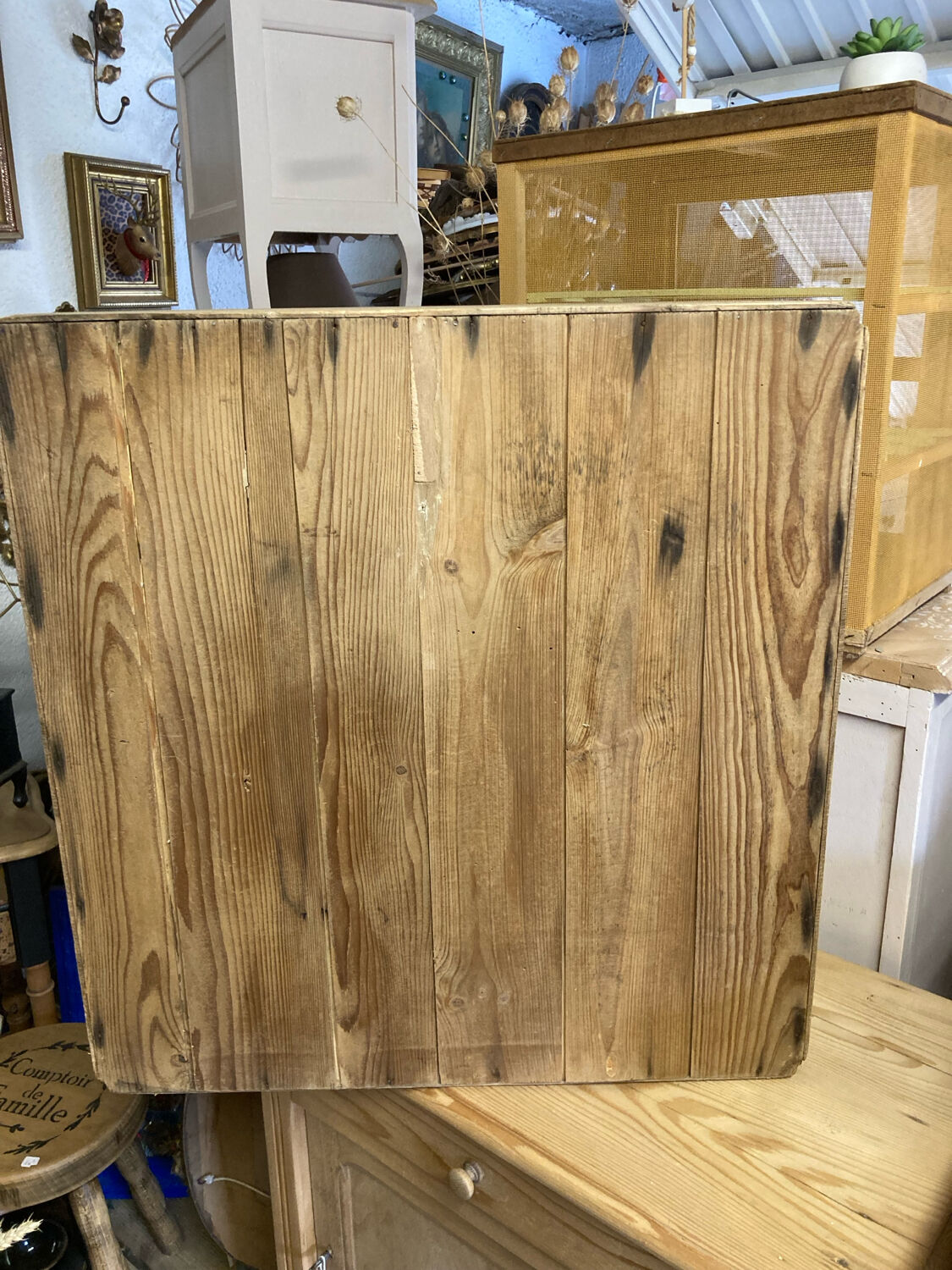 Small cabinet of curiosities / workshop furniture spruce