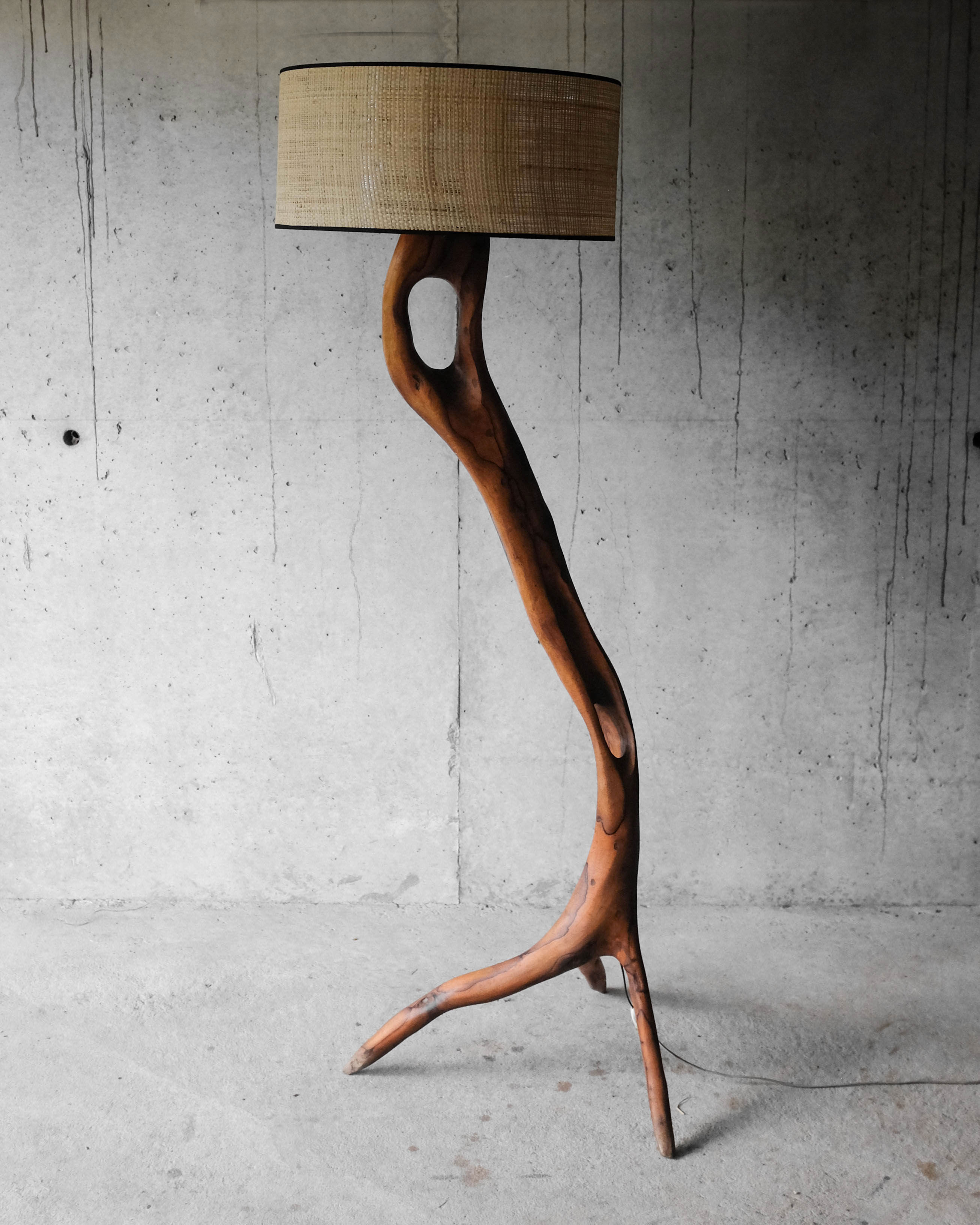 Massive olive tree lamppost - 1960