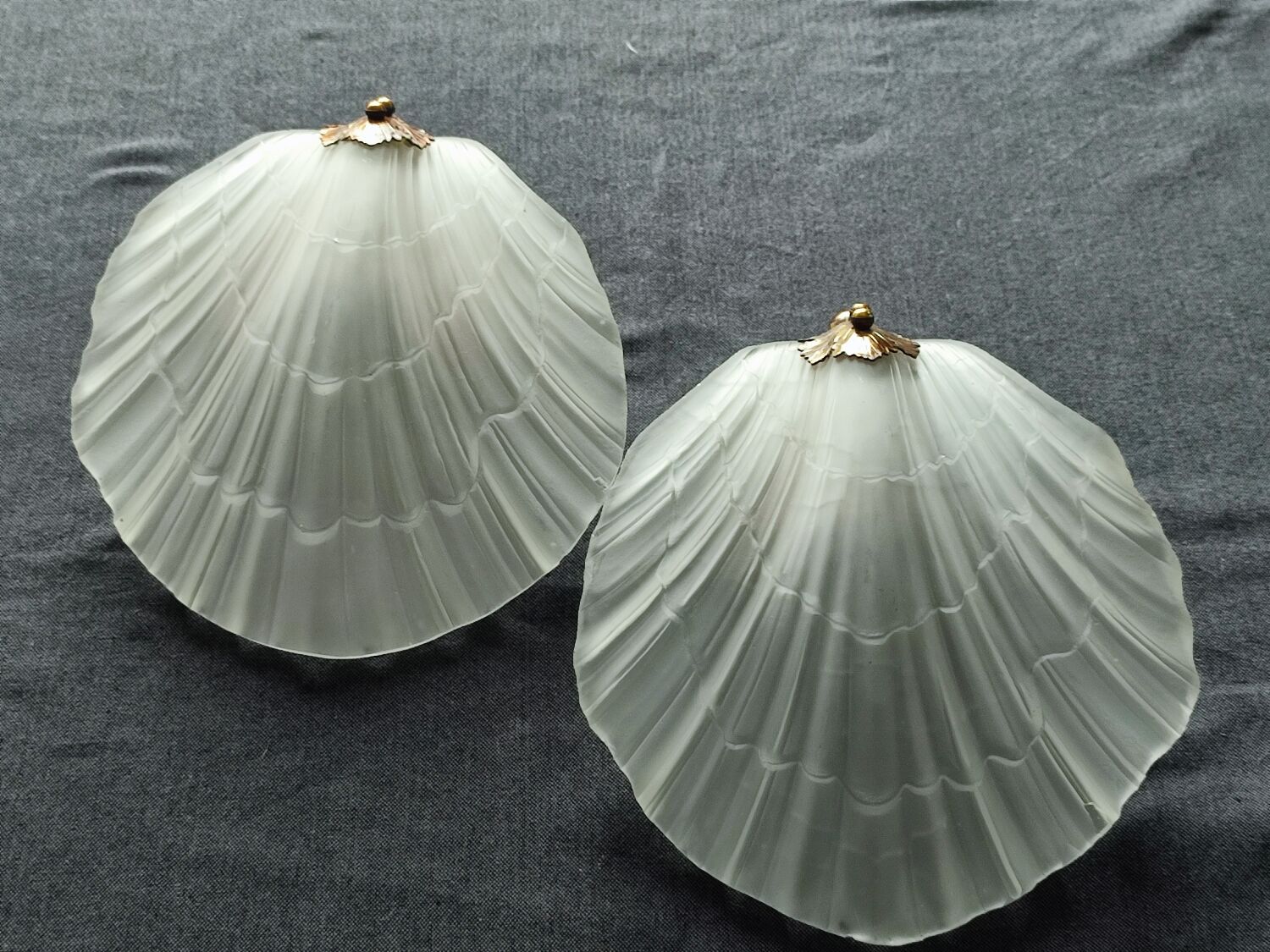 Pair of vintage shell wall lamp