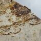 Table basse en marbre travertin