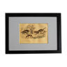 Planche zoologique originale "Hyène - Chacal - Léopard" Buffon 1838