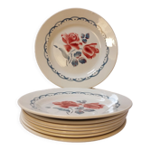 Set of 8 old flat plates from digoin sarreguemines earthenware factories - cannes model