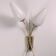 Vintage brass sconces