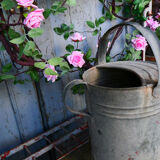 Zinc watering can