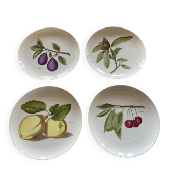 Set of 4 Vintage Hutschenreuther Fruit Dessert Plates 20cm, Side Plate
