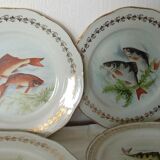 5 assiettes de service a poisson en porcelaine de france digoin n*1