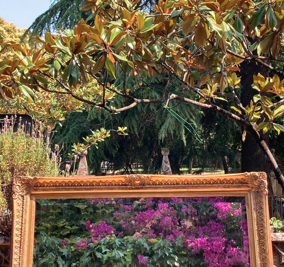 Golden mirror, beveled