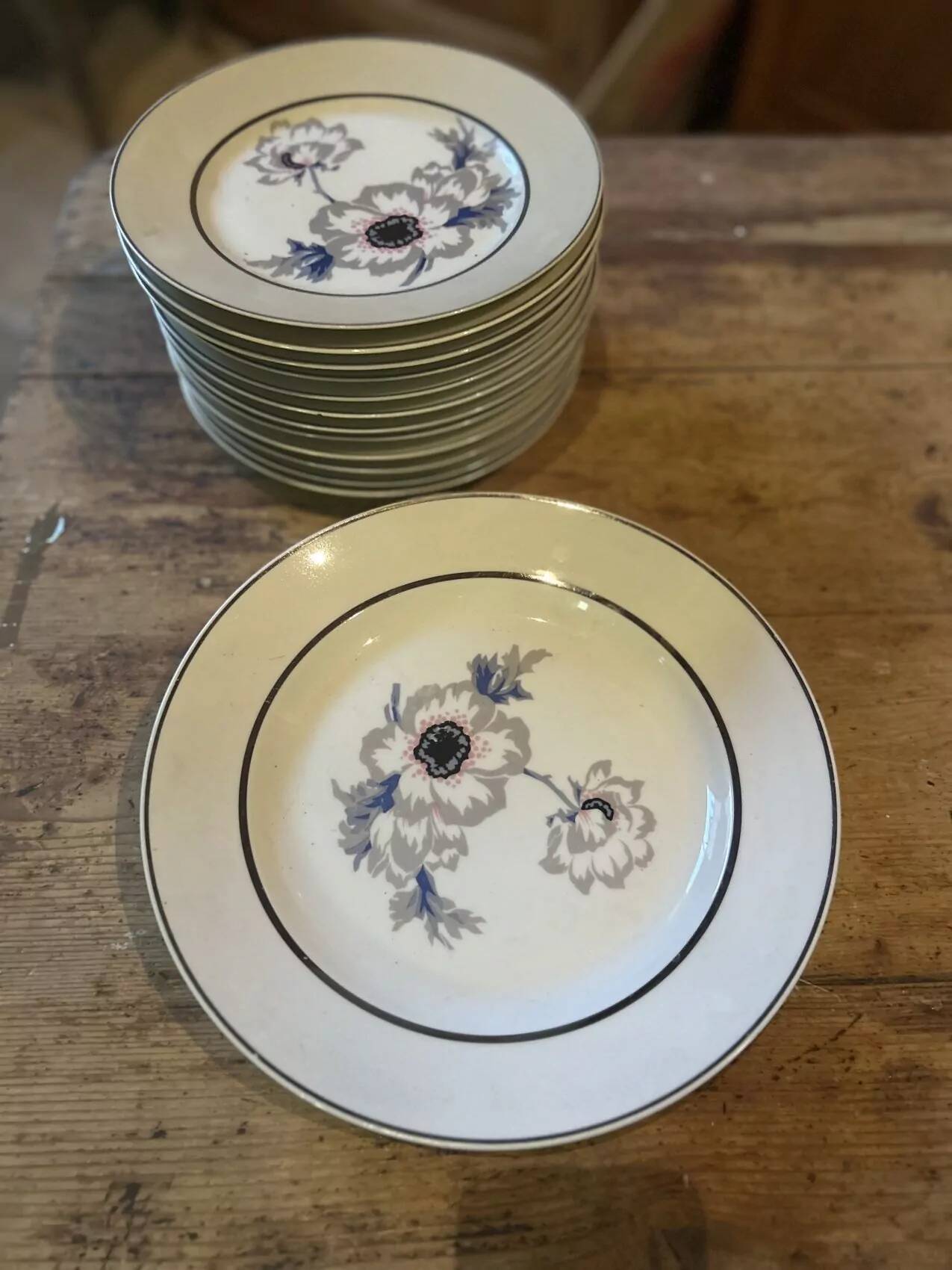 Set of 12 antique porcelain plates with anemone pattern + matching large plate 29.5 cm