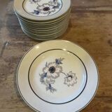 Set of 12 antique porcelain plates with anemone pattern + matching large plate 29.5 cm