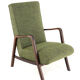 Knicos Armchair in Wengé with Green Upholstery | very rare dutch design