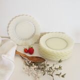 Set of 10 dessert plates flowers petals daisy Duralex Made in France 70s