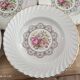 Set of 12 hollow plates K&G Lunéville model Tradition