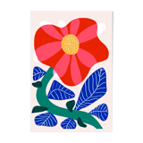 Camelia