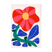 Camelia