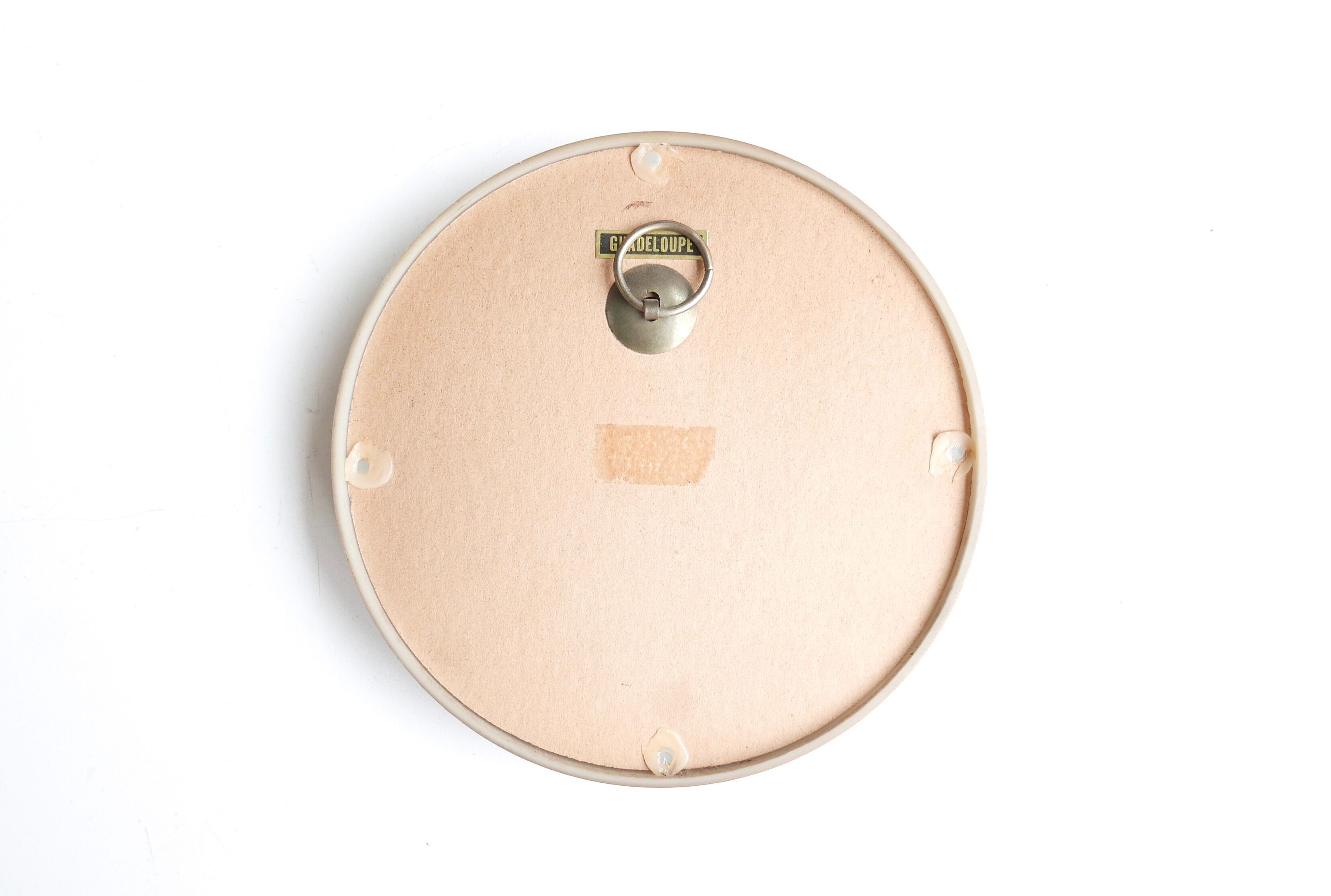 Domed showcase frame, naturalized white butterfly, 60s