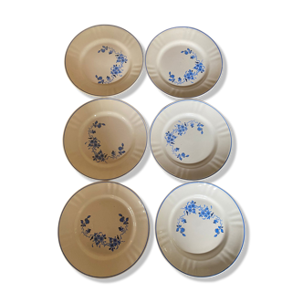 Set of 6 flowered dessert plates