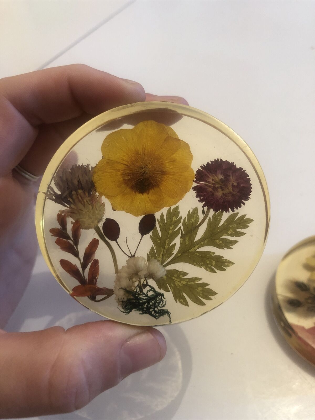Lot 6 under glass botanical inclusion in resin genuine vintage flowers