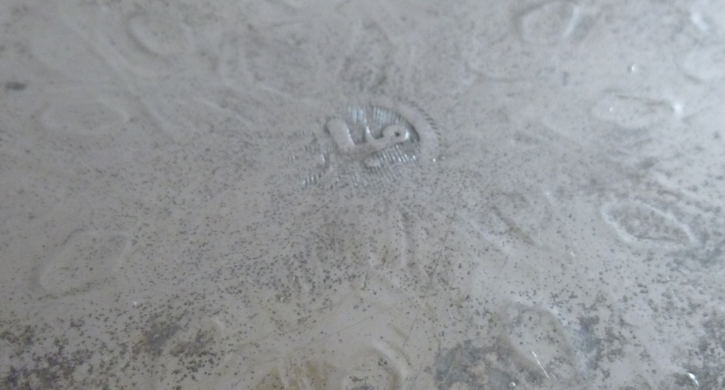 Eastern plate silver metal