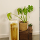 Vintage pottery vase