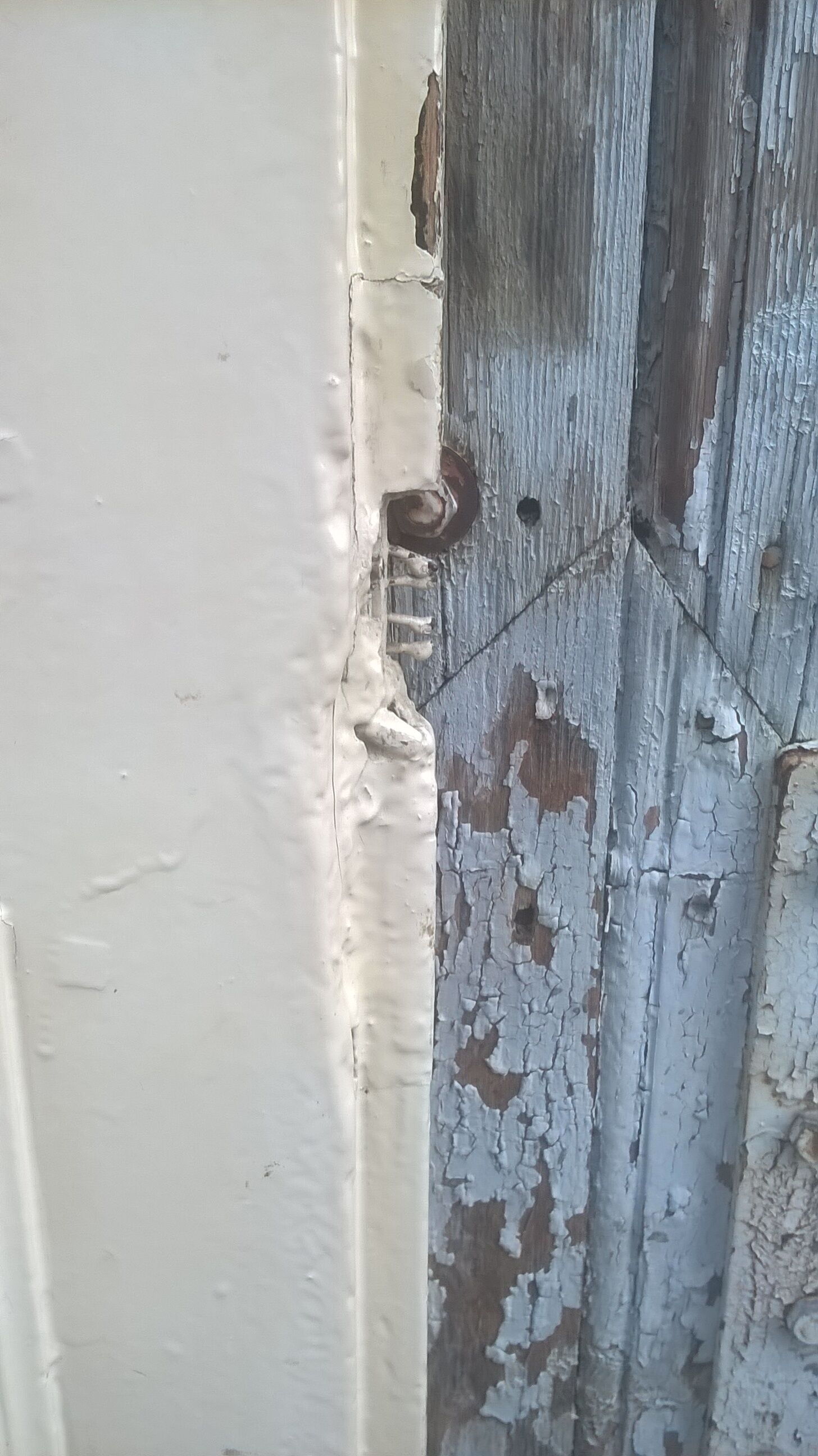 Old Haussmann double doors