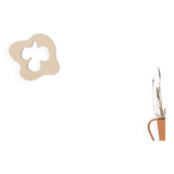 Miroir asymétrique pensee