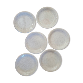 6 assiettes à dessert mouchetées