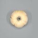 Wall light "2093A" by Olivier Mourgue for Disderot, France 1967.