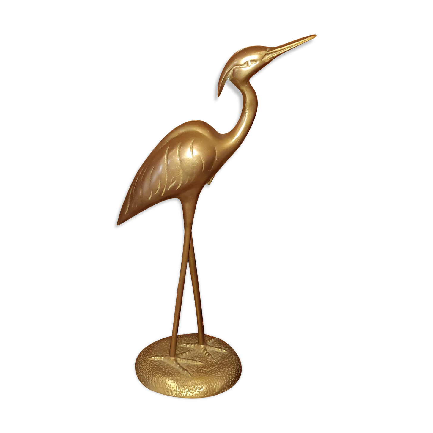 Brass-bronze egret bird