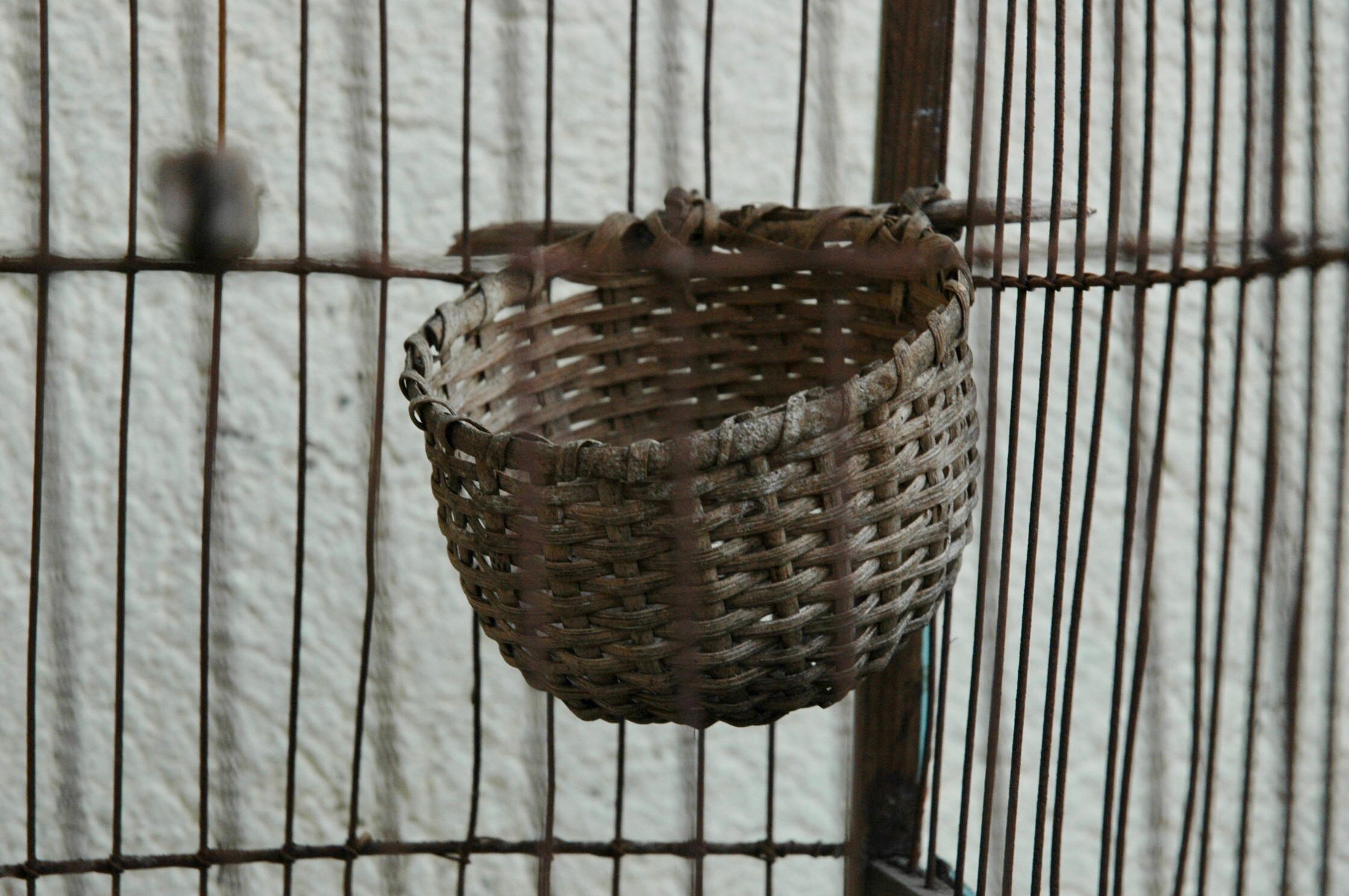 Ancient bird cage in wood and metal