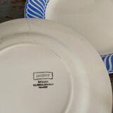Digoin flat plates