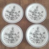 Saucer W.H Grindley Pinewood
