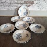 Series of 7 hollow plates in Sarreguemines earthenware model Flore