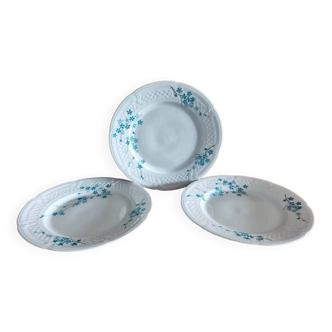 6 assiettes dessert  myosotis porcelaine du Berry