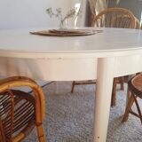 Scandinavian extendable table with butterfly extensions