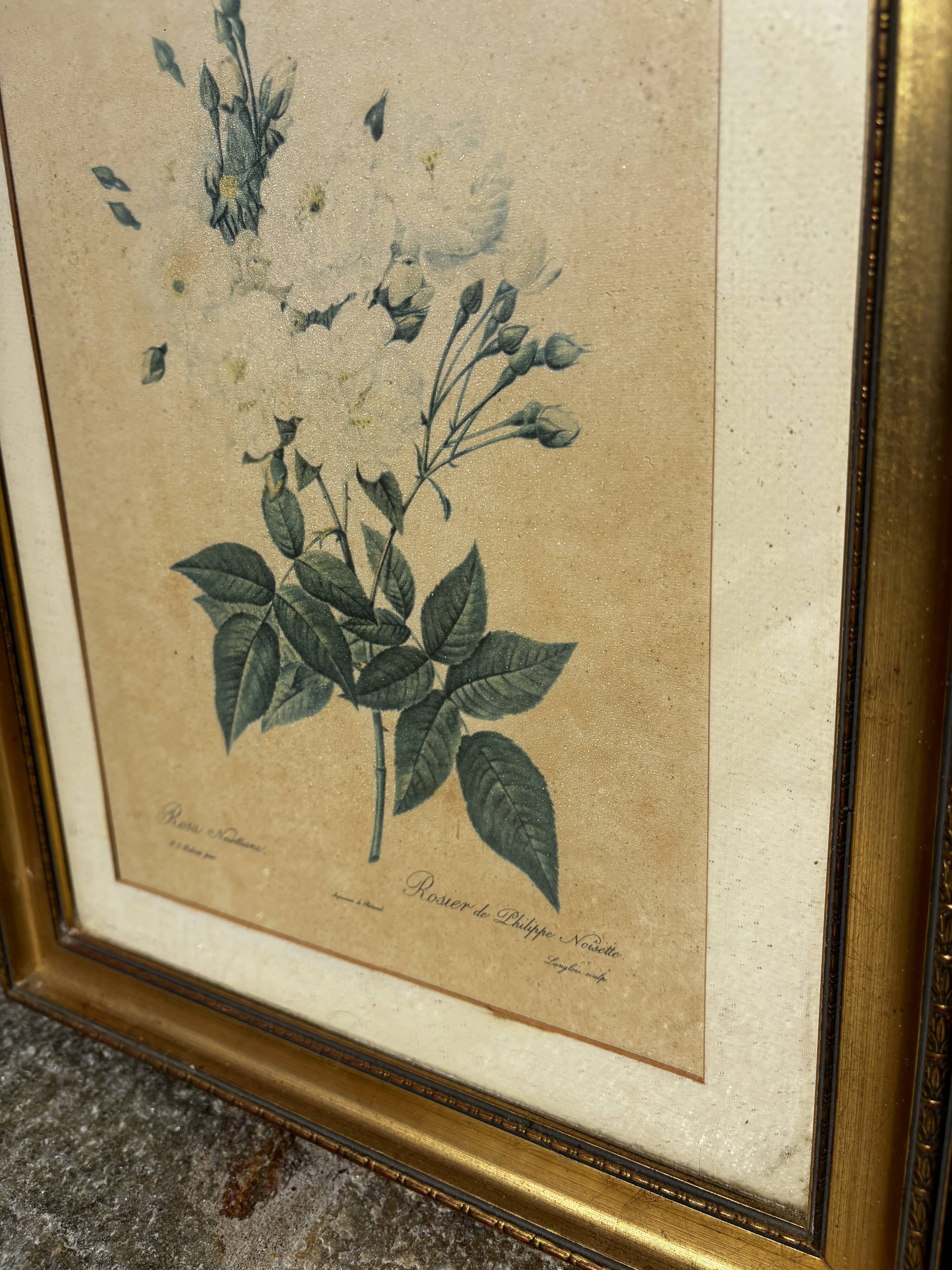 Rose table by Philippe Noisette