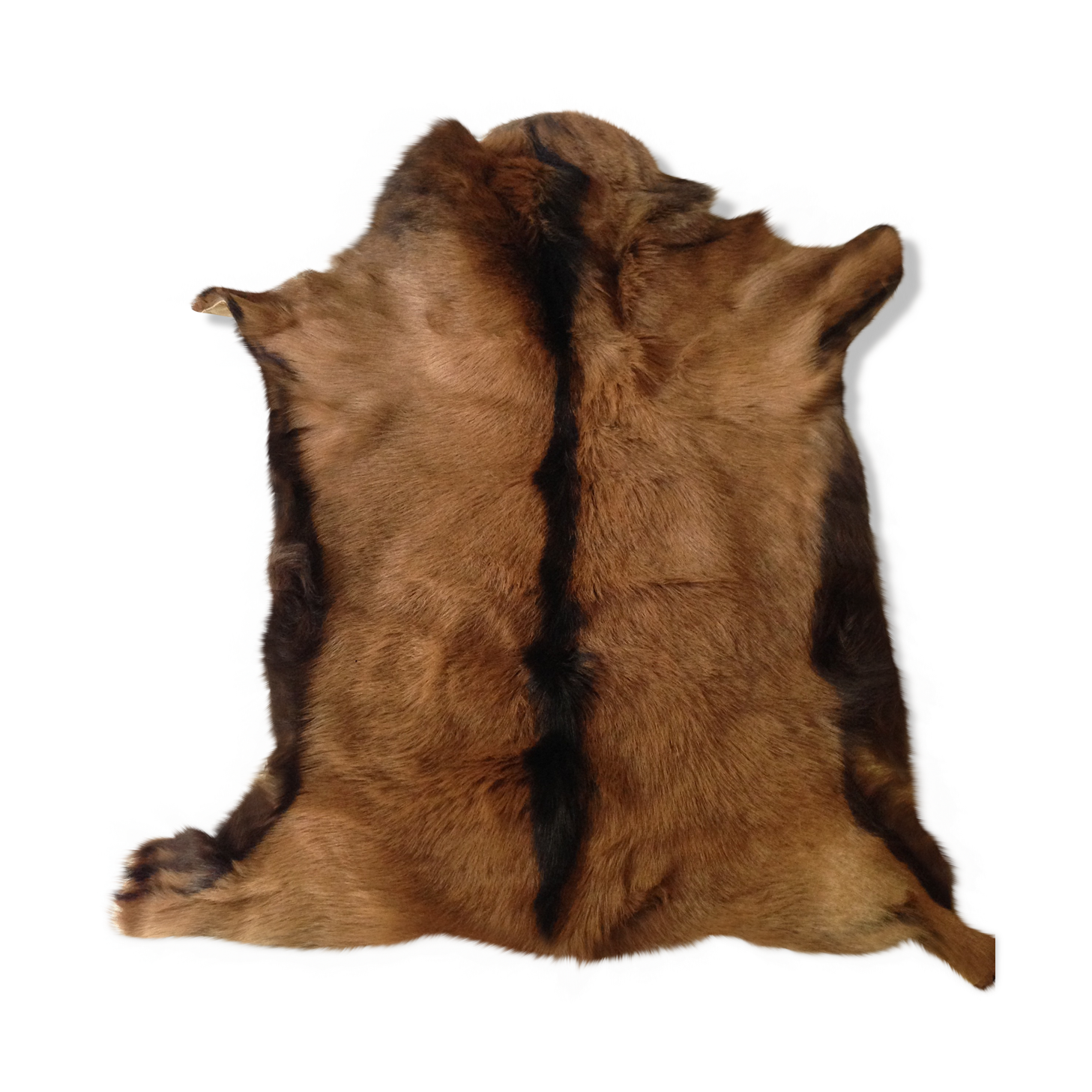 Goatskin