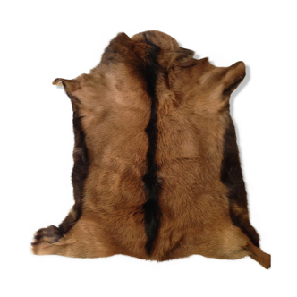 Goatskin
