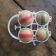 Jeu de boules en bois 60's