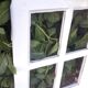 Old oak window H96.9xL81cm small panes