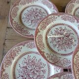 14 assiettes plates anciennes anglaises