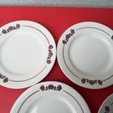 6 flat plates salty iron earth