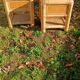 Vintage bamboo bedside tables