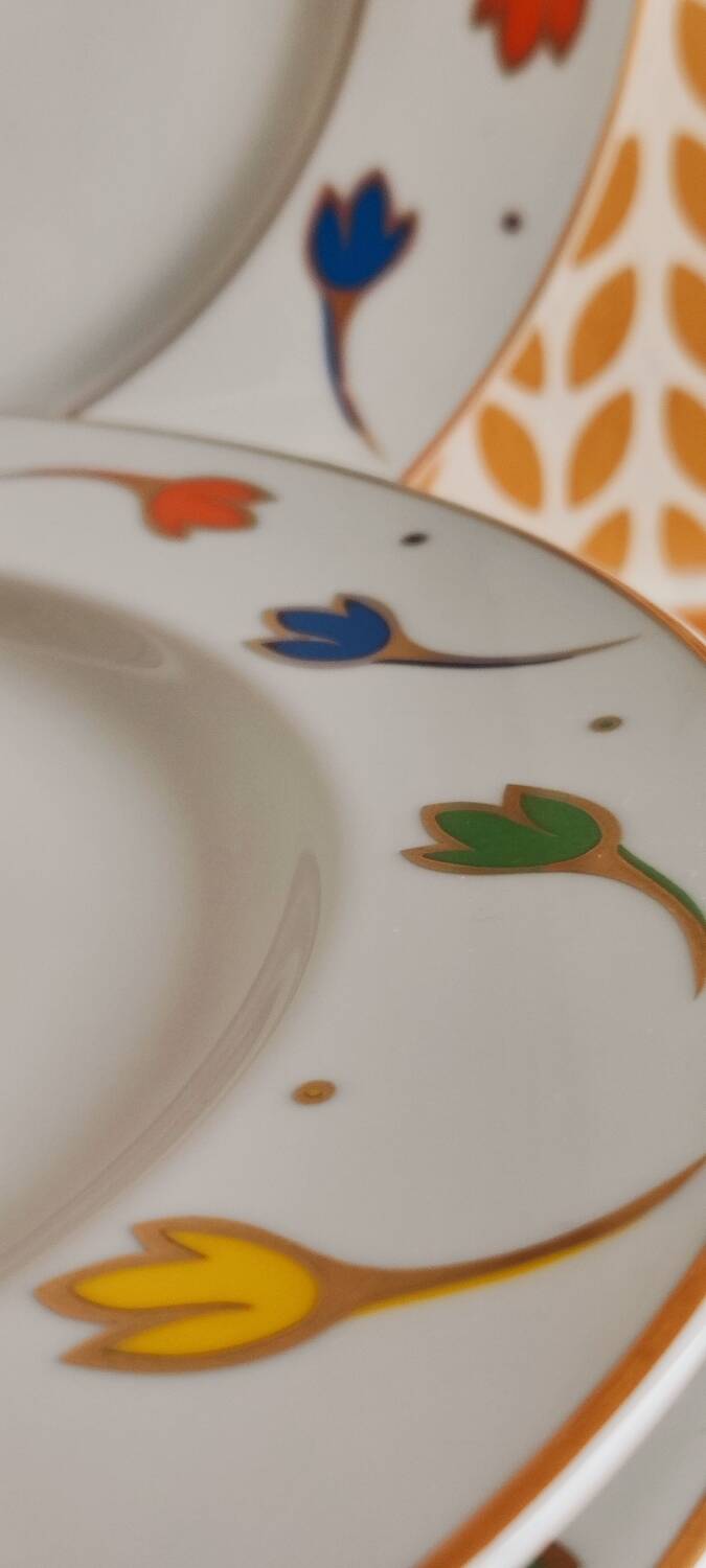 Set of porcelain plates with a frieze from Royal Limoges.