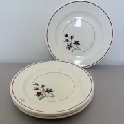 4 vintage flat plates from the Salins factory 210638