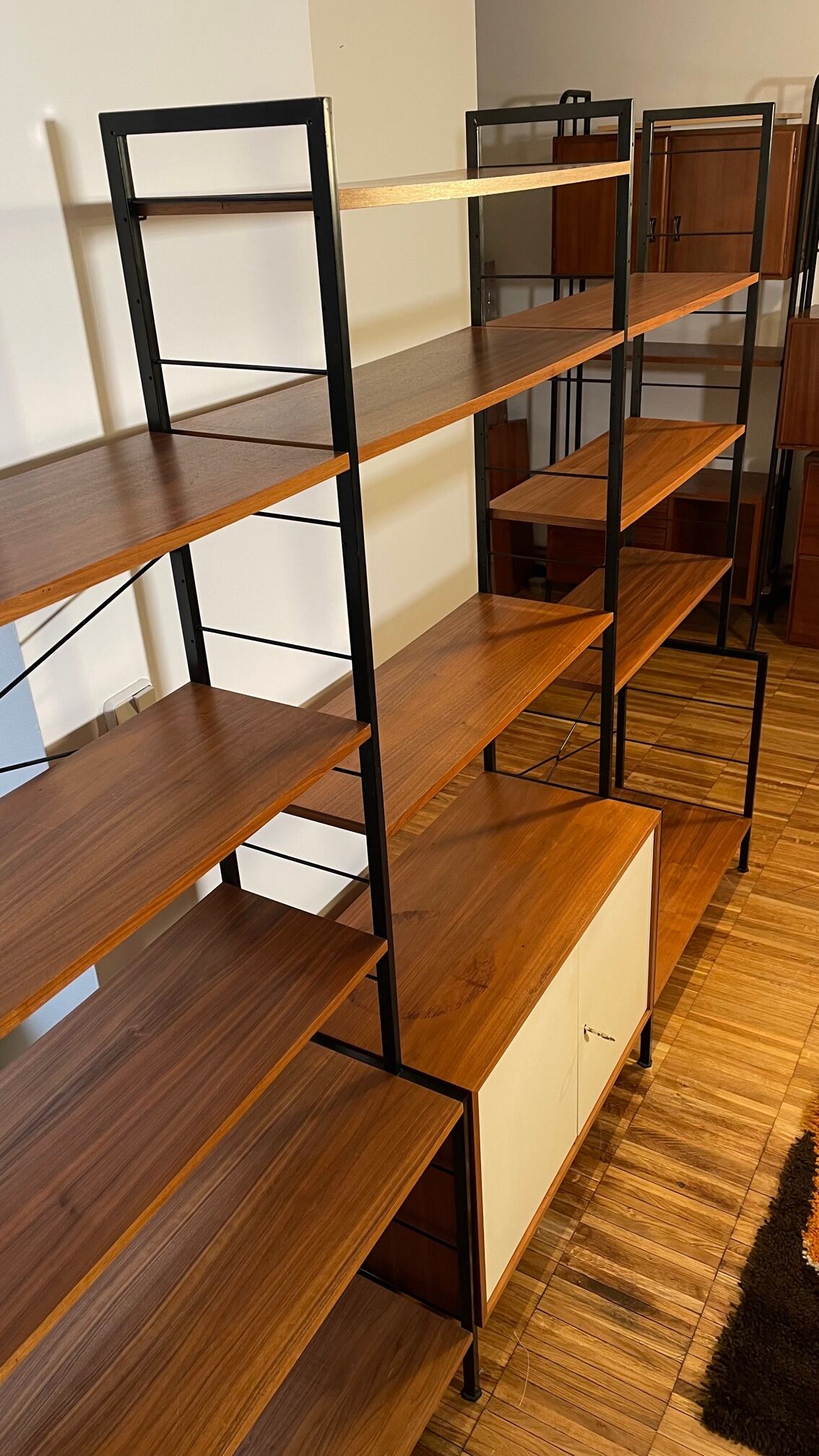 Modular vintage shelves of the 60s with box