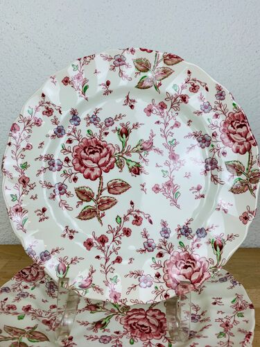 6 assiettes rose chintz johnson brothers faïence anglaise