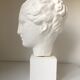Greek Ap Hygie head. Scopas Hellenistic Greek art in plaster-bleached terracotta