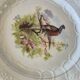 Bird dessert plates
