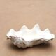 Natural white beige shell vide poche from the 1970s.