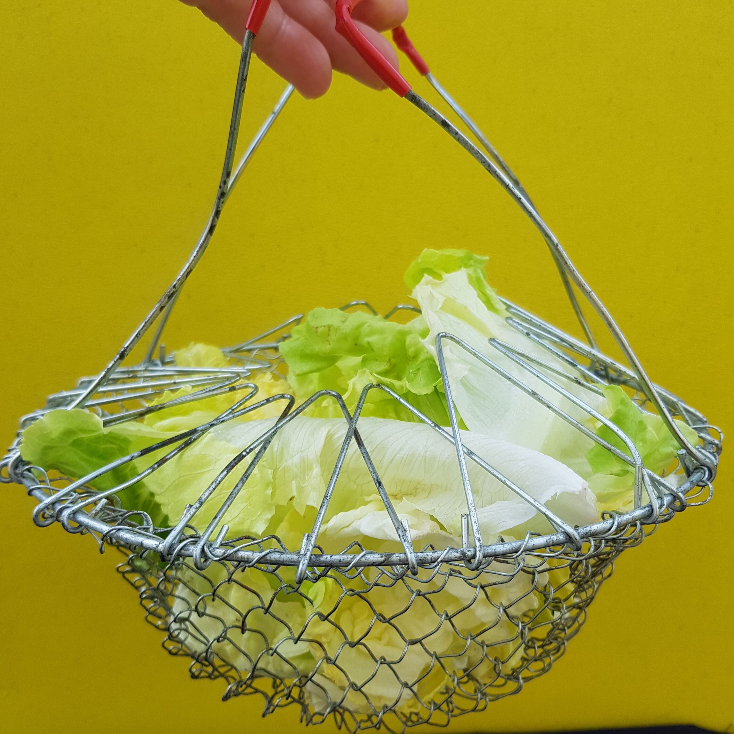 Old folding salad basket